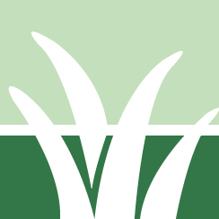 JW Lawn Disease