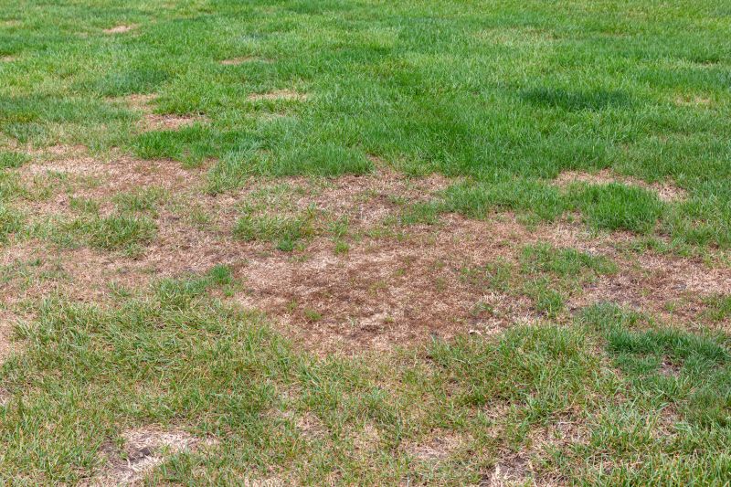 lawn disease control
