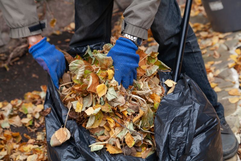 Leaf Disposal Methods