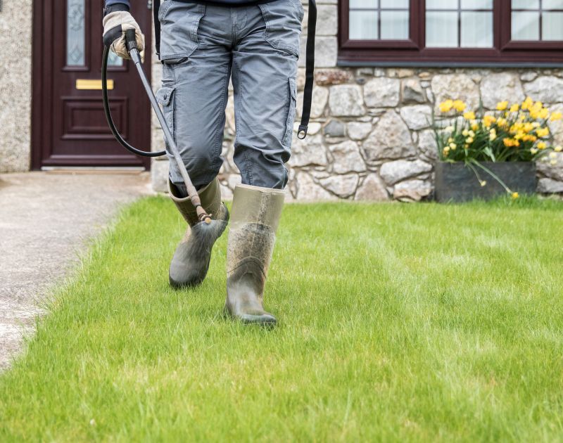 Lawn Disease Control