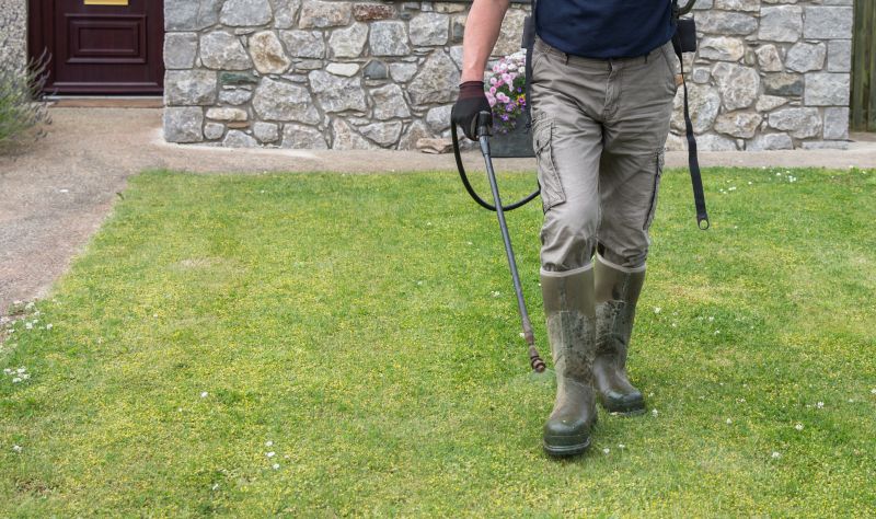 Lawn Disease Control