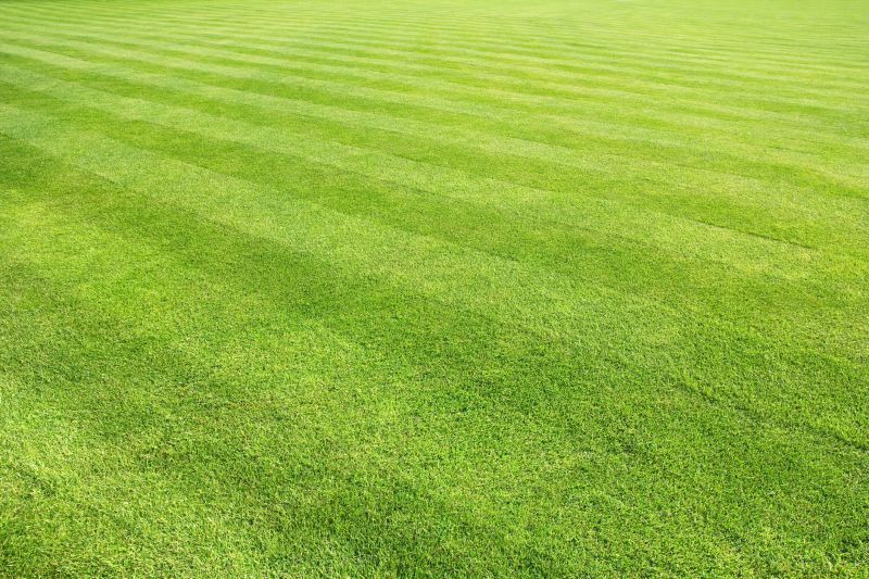 Lawn with Uniform Color