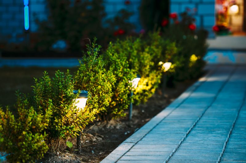 Pond Lighting Installation in Pasadena, CA