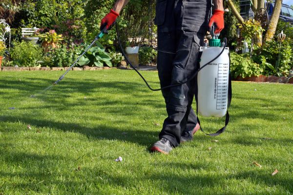 Grow your Lawn Disease Control business